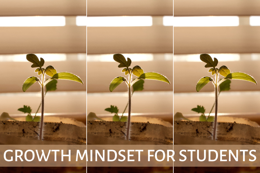 growth mindset for students